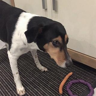 IMG 12