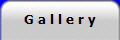 G a l l e r y
